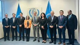 Việt Nam tăng cường kết nối ASEAN và IAEA trong các vấn đề hạt nhân toàn cầu