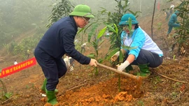 Lãnh đạo xã Lương Thịnh cùng Nhân dân trồng tre măng Bát độ trong Lễ phát động “Tết trồng cây đời đời nhớ ơn Bác Hồ” xuân Bính Ngọ 2026.