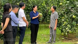 Lâm Giang nhân rộng mô hình thi đua “Dân vận khéo”