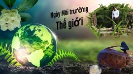 Vùng an toàn cho muôn loài động, thực vật “hồi sinh”