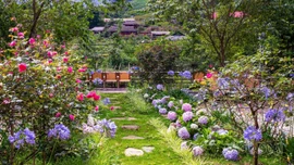 {Ảnh] Những góc nhỏ níu chân du khách