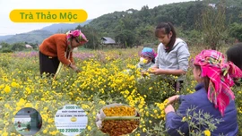 Mô hình kinh tế xanh tại Văn Bàn