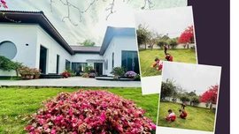 Giữ nếp nhà đẹp