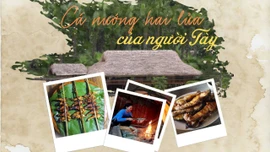 Cá nướng hai lửa của người Tày
