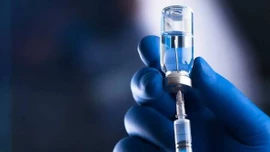 Nhật Bản thử nghiệm lâm sàng vaccine ngừa virus Nipah