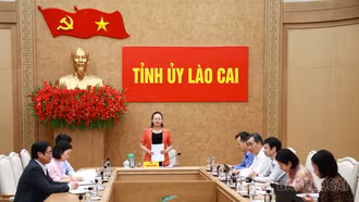 Đoàn giám sát số 02 của Tỉnh ủy tổ chức họp triển khai nhiệm vụ