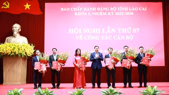 Lào Cai tổ chức Hội nghị Ban Chấp hành Đảng bộ tỉnh lần thứ 7 thực hiện quy trình công tác cán bộ