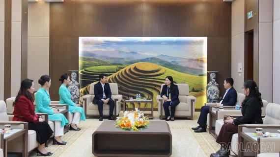 Phó Chủ tịch UBND tỉnh Vũ Thị Hiền Hạnh làm việc với Hãng hàng không Vietnam Airlines về công tác tuyển dụng lao động