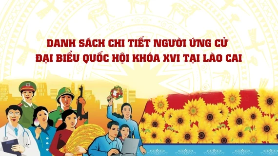 Danh sách 18 người ứng cử đại biểu Quốc hội khóa XVI tại Lào Cai