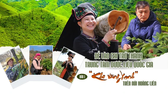 Bài 1: “Kho vàng xanh” trên núi Hoàng Liên