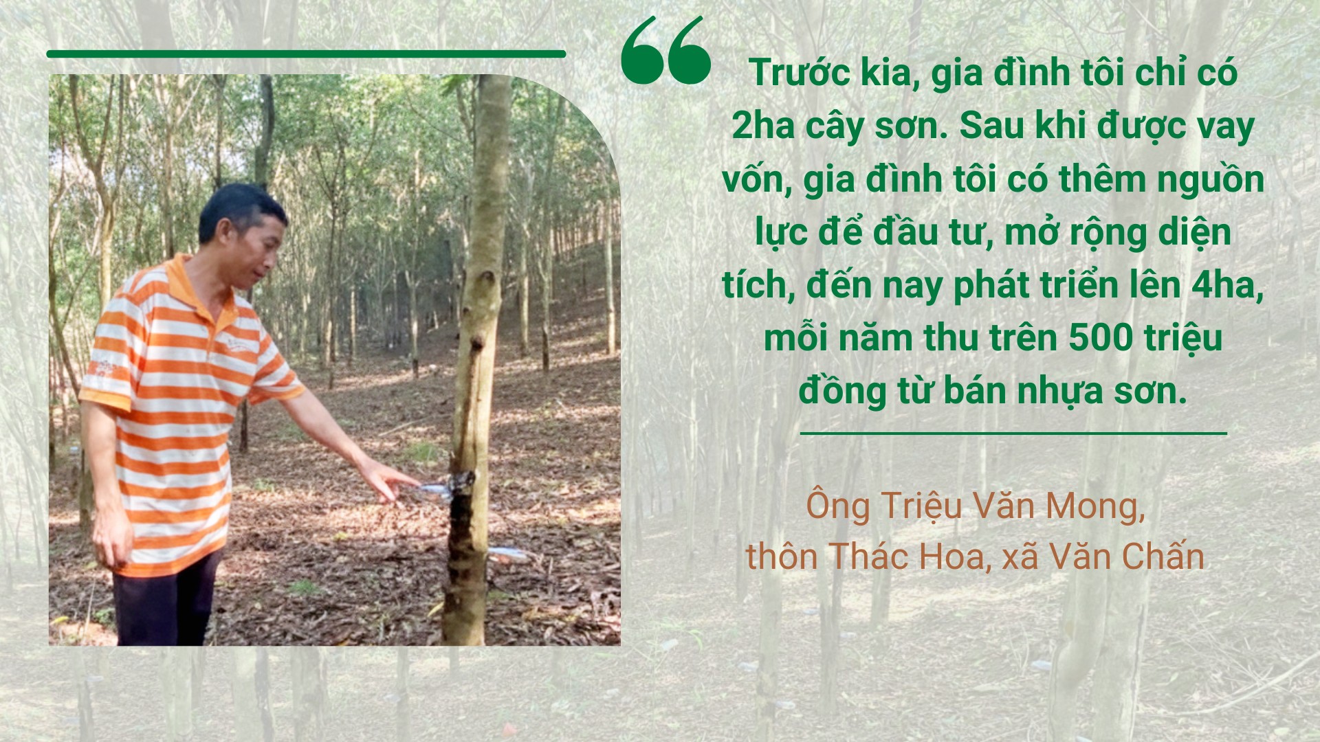anh-bai-2.png
