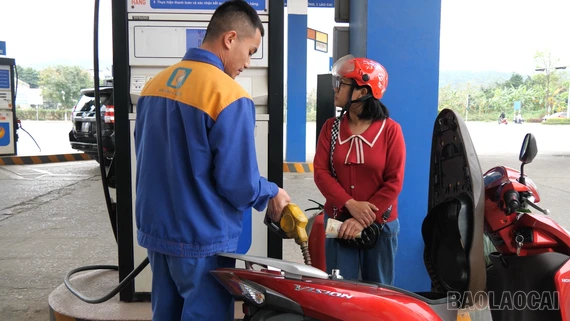 Giá xăng dầu tăng mạnh, nhiều lĩnh vực kinh tế chịu áp lực