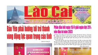 Lào Cai vùng cao số 799