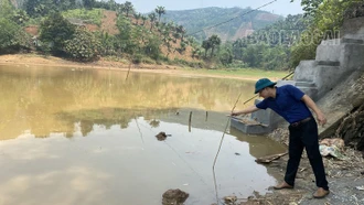 Thiếu nước, hơn 30 ha lúa phải chuyển đổi sang cây trồng cạn