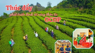 Thúc đẩy phát triển kinh tế nông thôn từ OCOP