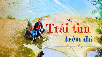 Trái tim trên đá