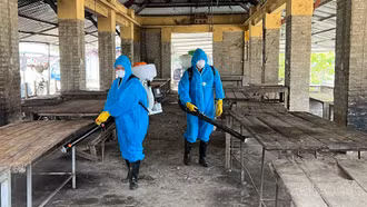 Chủ tịch UBND các huyện chịu trách nhiệm nếu để phát sinh, tái phát dịch tả lợn châu Phi