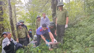 Tái thả 28 cá thể động vật rừng về môi trường tự nhiên