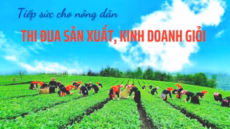 Tiếp sức cho nông dân thi đua sản xuất, kinh doanh giỏi