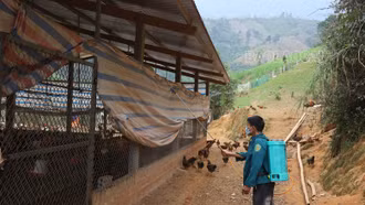 Tăng cường kiểm tra, ngăn chặn việc xuất - nhập lậu gia cầm, sản phẩm gia cầm qua biên giới vào địa bàn