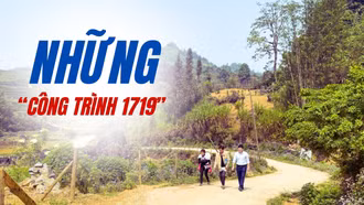 Những “công trình 1719”