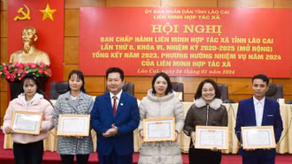 Năm 2024, phấn đấu thành lập mới từ 40 - 45 hợp tác xã