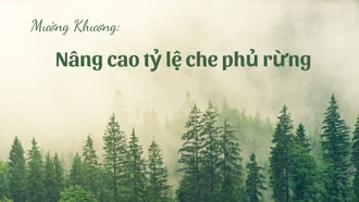 Mường Khương nâng cao tỷ lệ che phủ rừng