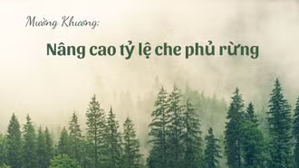 Mường Khương nâng cao tỷ lệ che phủ rừng