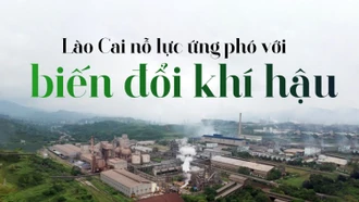 Lào Cai nỗ lực ứng phó với biến đổi khí hậu