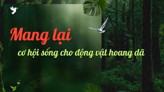 Mang lại cơ hội sống cho động vật hoang dã