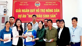 Giải ngân hơn 6,7 tỷ đồng hỗ trợ nông dân phát triển kinh tế