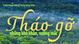 Tháo gỡ những khó khăn, vướng mắc