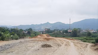  Nhiều vướng mắc, dự án phải gia hạn