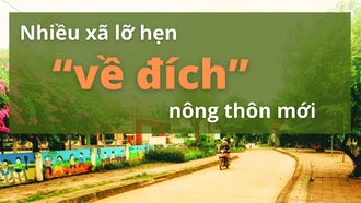 Nhiều xã lỡ hẹn “về đích” nông thôn mới