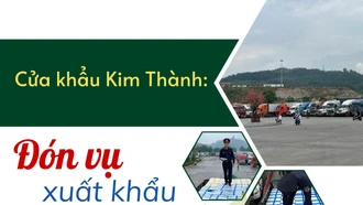 Đón vụ xuất khẩu quả vải