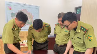 Tập trung cao độ công tác phòng, chống cháy rừng