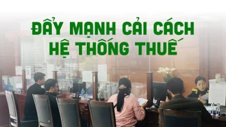 Hoàn thiện hệ thống chính sách thuế gắn với cơ cấu lại thu ngân sách nhà nước 