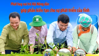 Phát huy vai trò Hội Nông dân góp phần kiến tạo cho sự phát triển của tỉnh 