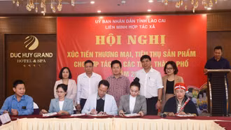 Xúc tiến thương mại, tiêu thụ sản phẩm cho hợp tác xã của các tỉnh, thành phố