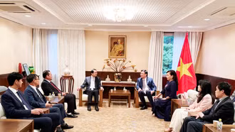 Chủ tịch UBND tỉnh Trịnh Xuân Trường thăm và làm việc tại Đại sứ quán Việt Nam tại Nhật Bản