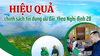 Hiệu quả chính sách tín dụng ưu đãi theo Nghị định 28