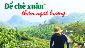 Để chè xuân ngát hương