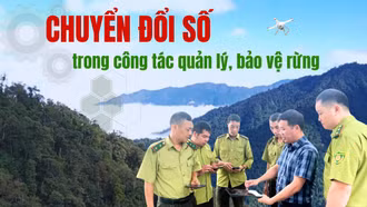 Chuyển đổi số trong công tác quản lý, bảo vệ rừng