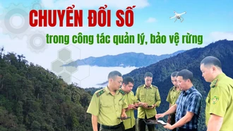 Chuyển đổi số trong công tác quản lý, bảo vệ rừng