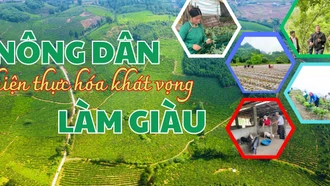 Nông dân hiện thực hóa khát vọng làm giàu