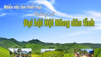 Nhiều việc làm thiết thực hướng về Đại hội Hội Nông dân tỉnh