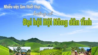 Nhiều việc làm thiết thực hướng về Đại hội Hội Nông dân tỉnh