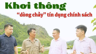 Khơi thông “dòng chảy” tín dụng chính sách