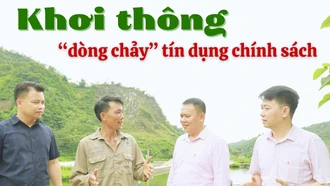 Khơi thông “dòng chảy” tín dụng chính sách