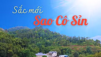 Sắc mới Sao Cô Sỉn